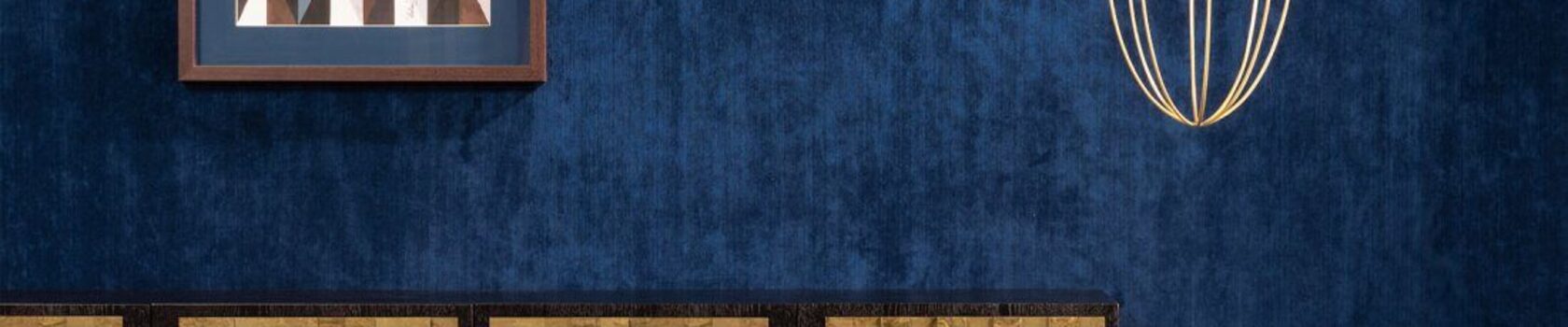Tinneroy2-X2UL