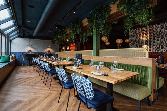 s996oglemccg8u0pr20220408144550