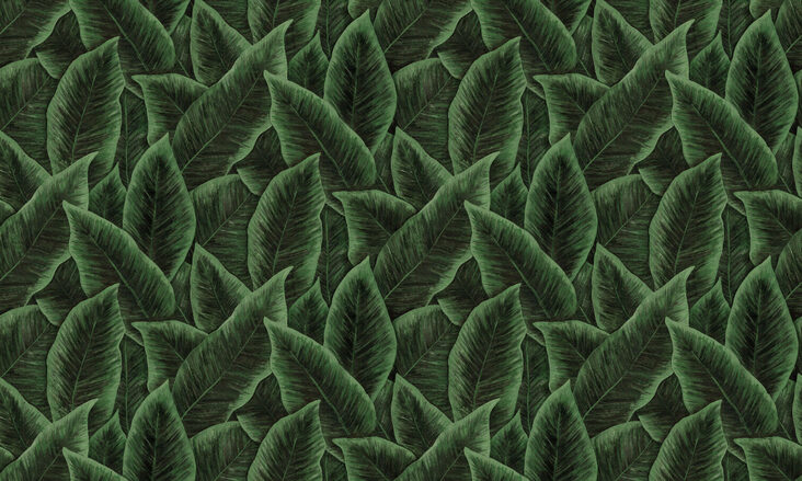 DécorsPanoramiques_Birdofparadise_97572_Flatshot_Web_LR