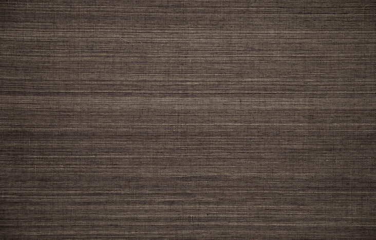 osmanthus-line-80712b-packshot