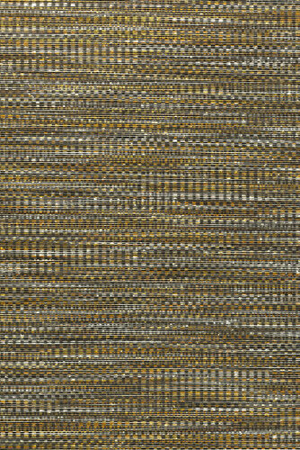 osmanthus-geloma-54561-packshot