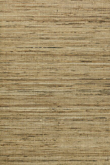 osmanthus-sambe-54554-packshot