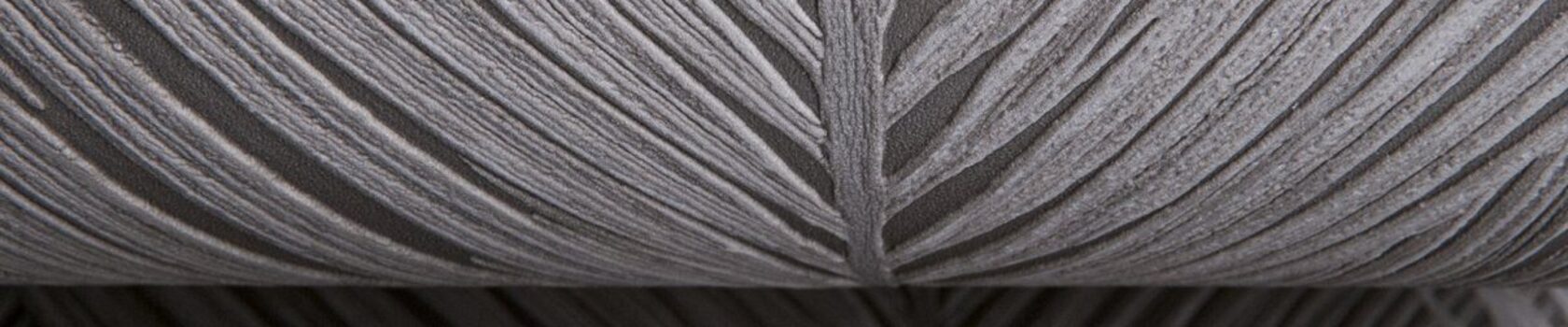 Slideslow_monsoon2-0IVN