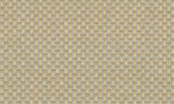 28064-62X7