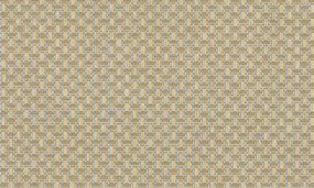 28064-62X7
