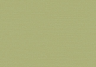 Birds of Paradise_Silky_BOP317_Flatshot_Web_LR