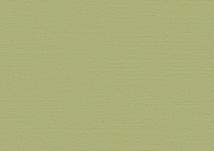 Birds of Paradise_Silky_BOP317_Flatshot_Web_LR