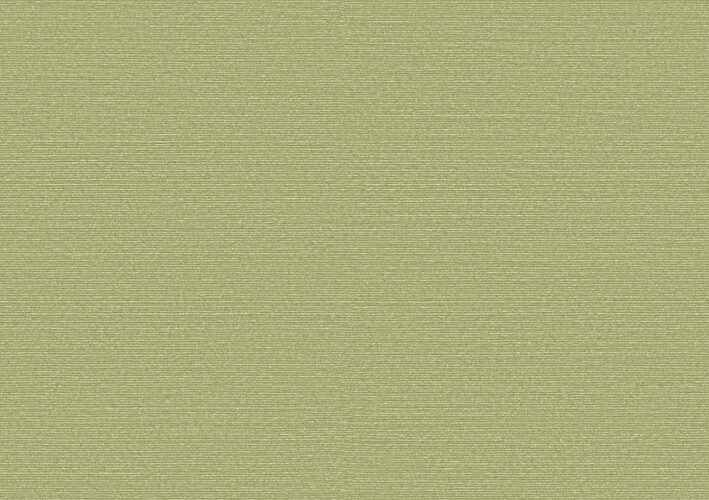 Birds of Paradise_Silky_BOP317_Flatshot