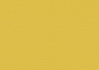 Birds of Paradise_Silky_BOP322_Flatshot_Web_LR