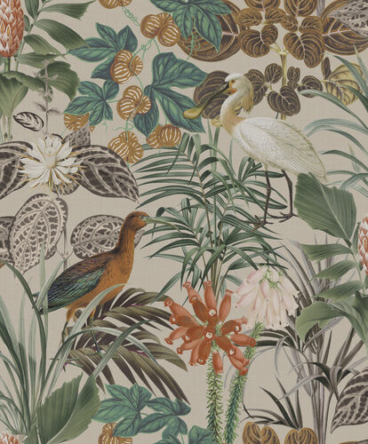 Birds of Paradise_The Wading Birds_BOP502_Flatshot