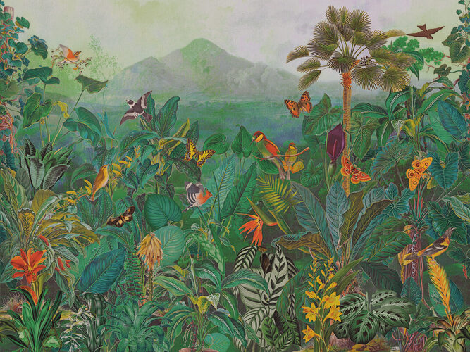 Birds of Paradise_The Tropics_BOP401_Flatshot_Web_LR