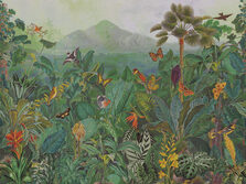 Birds of Paradise_The Tropics_BOP401_Flatshot