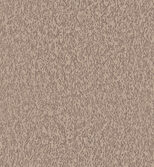 Casca_Motion_CAS31_Flatshot_Web_LR
