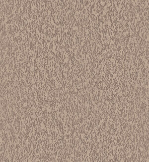 Casca_Motion_CAS31_Flatshot_Web_LR