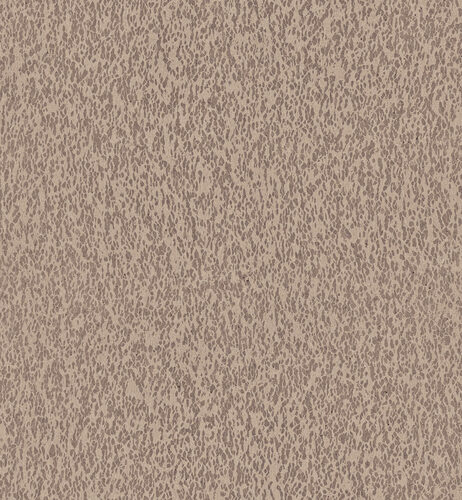 Casca_Motion_CAS31_Flatshot_Web_LR