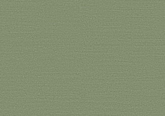 Birds of Paradise_Silky_BOP316_Flatshot_Web_LR