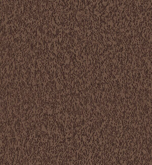 Casca_Motion_CAS32_Flatshot_Web_LR