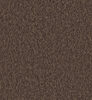 Casca_Motion_CAS32_Flatshot