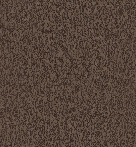 Casca_Motion_CAS32_Flatshot