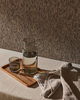 Casca_Motion_CAS32_2_Roomshot
