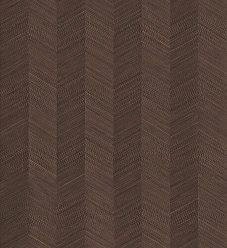 Imperialis_Lankao_IM64_Flatshot_Web_LR