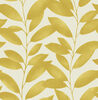 Joy_Blooming Marvellous_JOY22_Flatshot_1