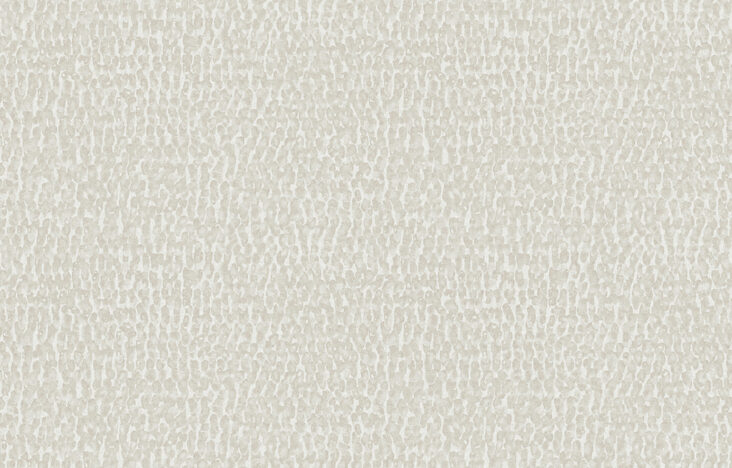 Joy_Join the Dots_JOY41_Flatshot