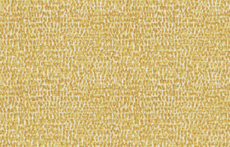 Joy_Join the Dots_JOY44_Flatshot