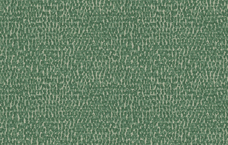 Joy_Join the Dots_JOY47_Flatshot_1