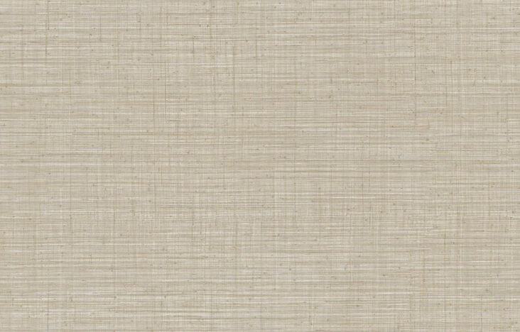 JV800 Tierra_Unito Tierra_6658_Flatshot