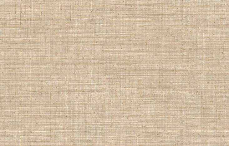 JV800 Tierra_Unito Tierra_6659_Flatshot_Web_LR