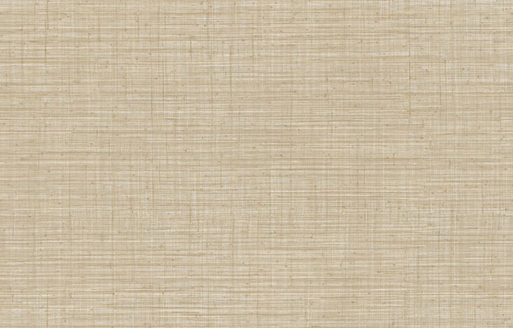 JV800 Tierra_Unito Tierra_6659_Flatshot