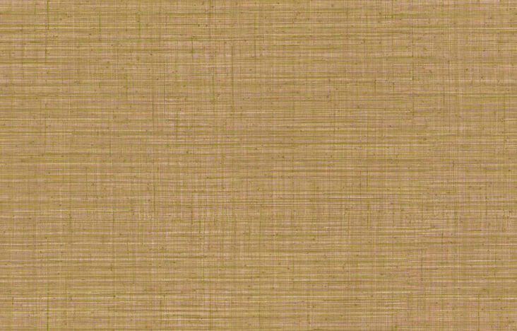 JV800 Tierra_Unito Tierra_6661_Flatshot_Web_LR