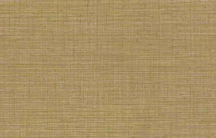 JV800 Tierra_Unito Tierra_6661_Flatshot