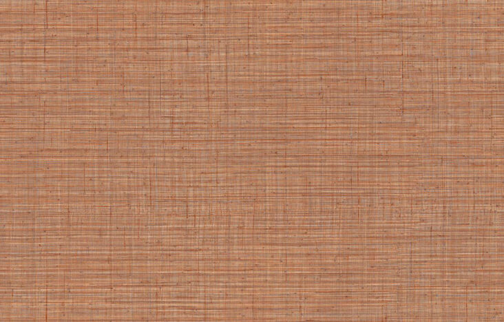 JV800 Tierra_Unito Tierra_6662_Flatshot_Web_LR