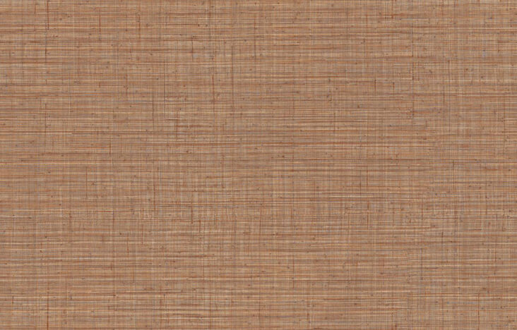 JV800 Tierra_Unito Tierra_6662_Flatshot