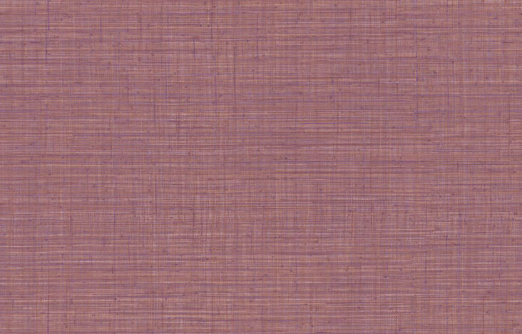 JV800 Tierra_Unito Tierra_6664_Flatshot