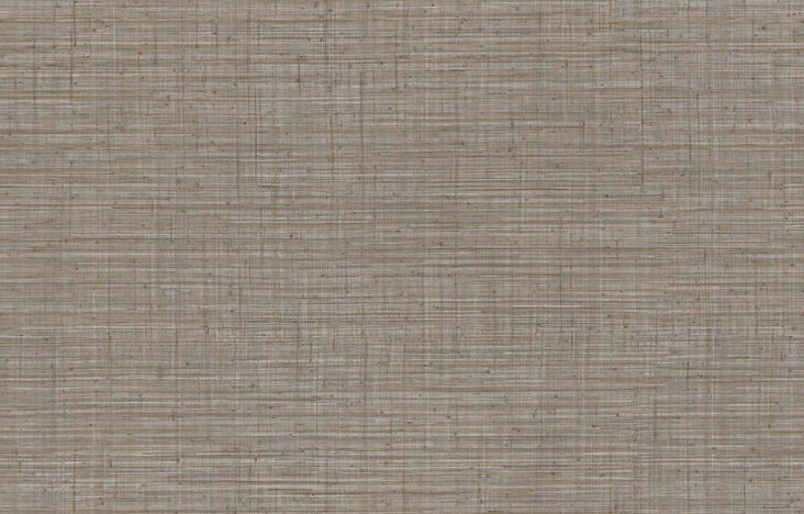 JV800 Tierra_Unito Tierra_6665_Flatshot_Web_LR