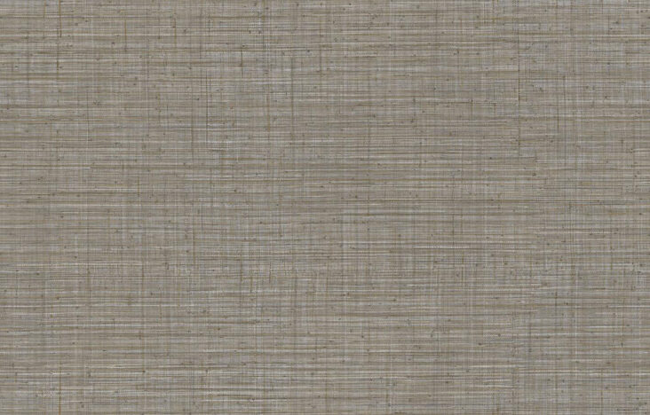 JV800 Tierra_Unito Tierra_6665_Flatshot