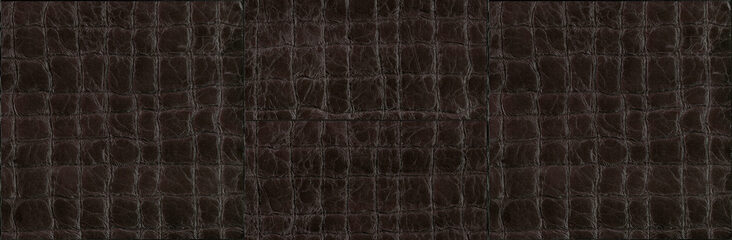 Kharga_Tenere_74024_Flatshot_Web_LR