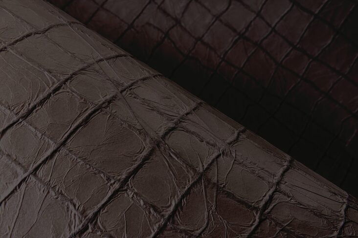 Kharga_Tenere_74024_2_Mood