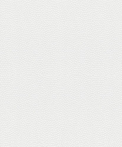 Laser_Play_9021_9521_P