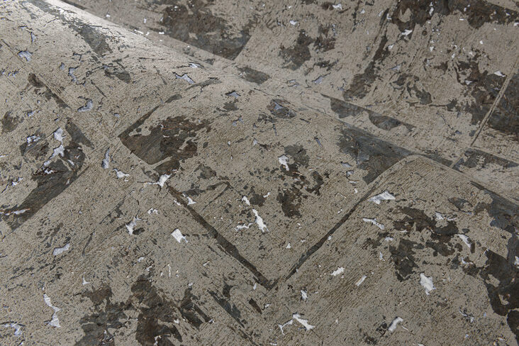 LesForets_Eclat_48042_2_Mood