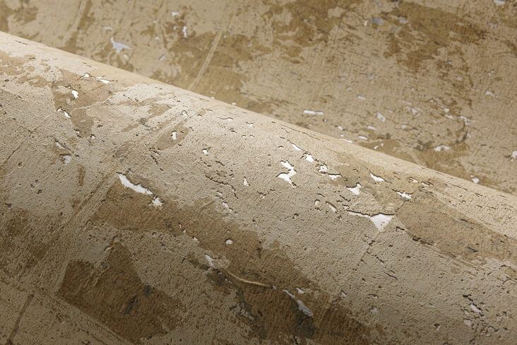 LesForets_Eclat_48045_1_Mood