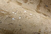 LesForets_Eclat_48045_3_Mood