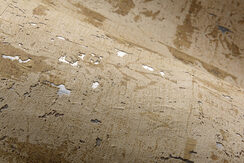 LesForets_Eclat_48045_3_Mood