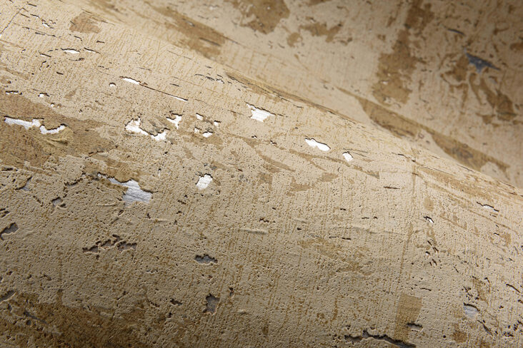 LesForets_Eclat_48045_3_Mood