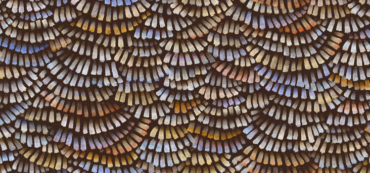 MoooiWallcoveringMementoMoooi_DandelionCranes_MO4021_Flatshot_Web_LR