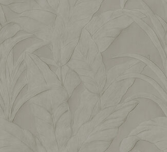 Monsoon20_Musa_75000B_Flatshot_Web_LR