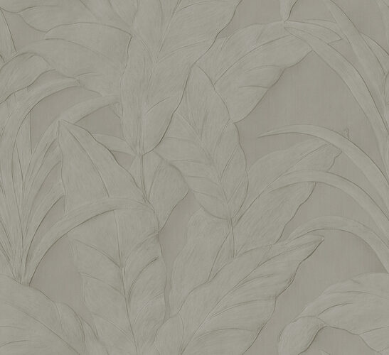 Monsoon20_Musa_75000B_Flatshot_Web_LR